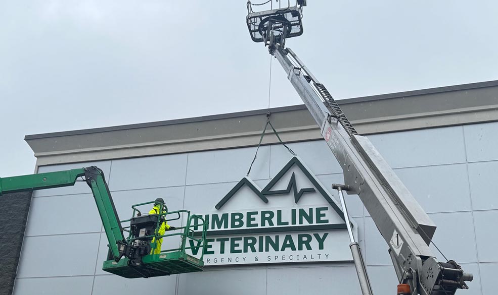 workers using crane to hang TVES logo on top of exterior of new building