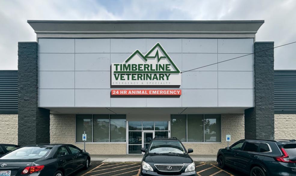 front exterior of new building for TVES