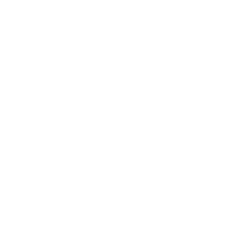 white icon of compass