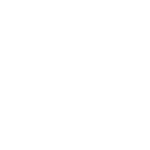 white icon of evergreen tree branch