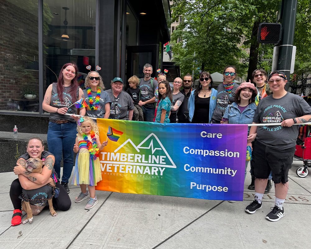 TVES team members with dog and family members smiling and posing while holding Gay Pride parade banner