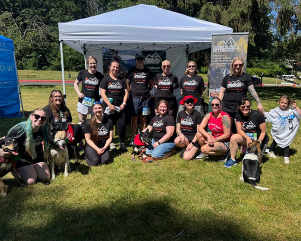 TVES team members with dogs and family members smiling and posing in front of TVES booth at outdoor event