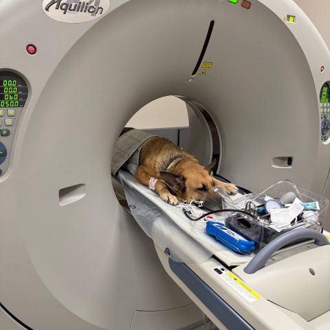 Computed Tomography Ct