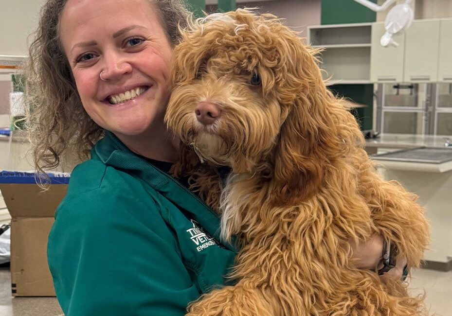 female veterinarian smiling and posing while holding goldendoodle